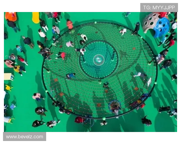 详解爱游戏体育网页版登录的用户指南，让你畅快无阻享受体育盛宴